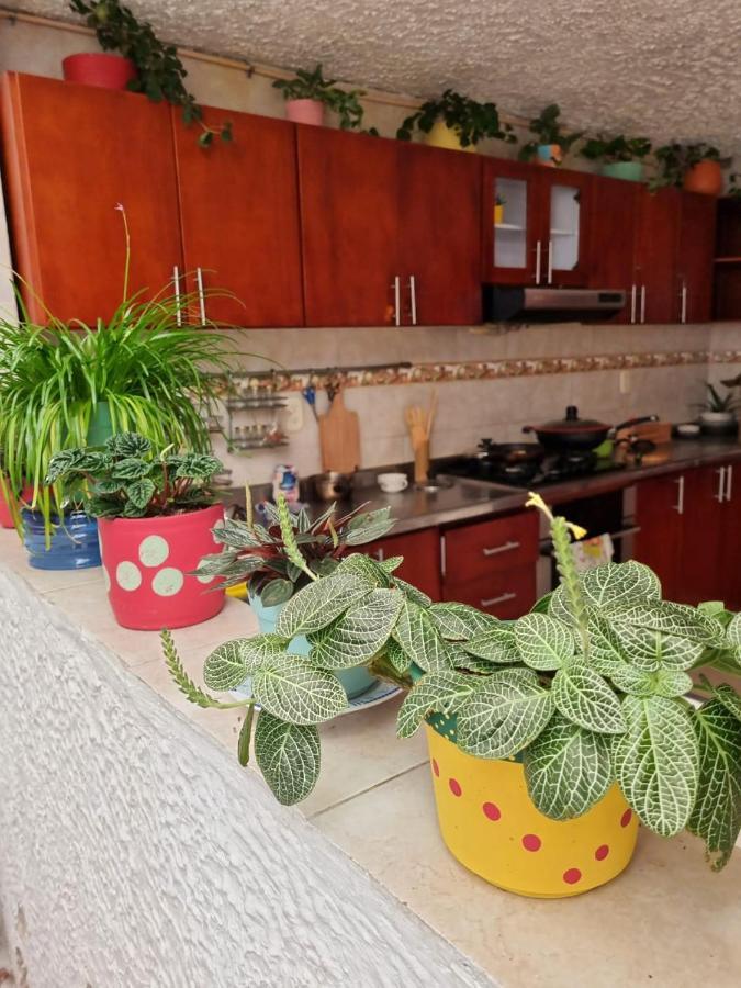 Tatami Hostel Букараманга Экстерьер фото